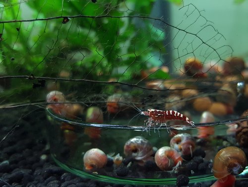 20180221_112544.jpg