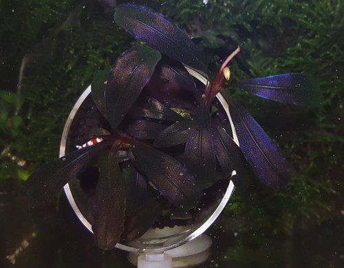 20180406_080120.jpg