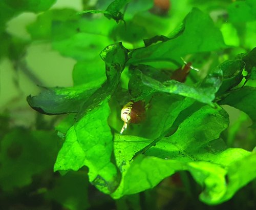 20180415_094743.jpg