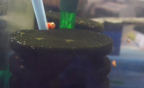 20180420_121210.jpg