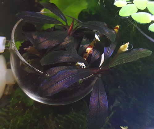 20180419_075039.jpg