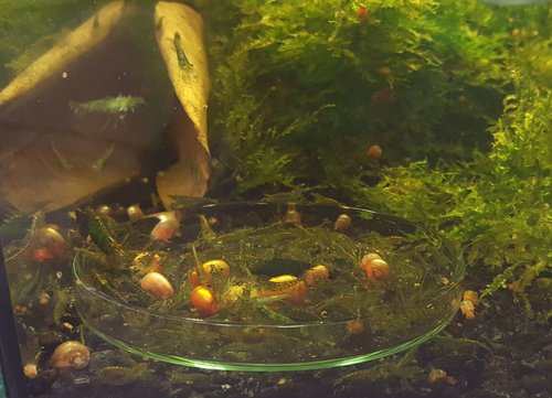 20180521_105452.jpg