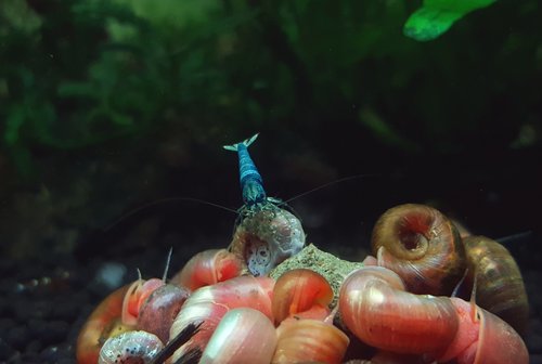 20180602_190924.jpg
