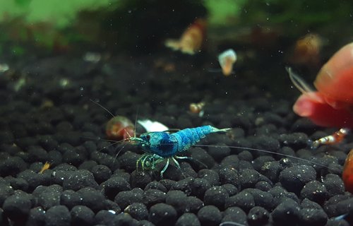 20180608_073441.jpg