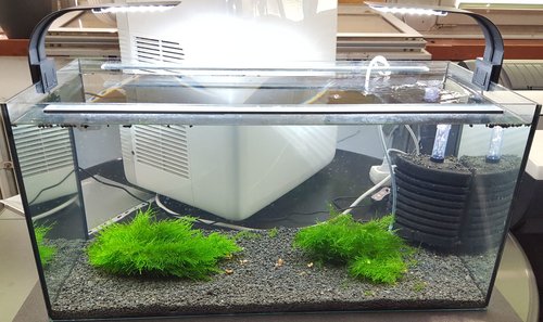 20180611_144922.jpg