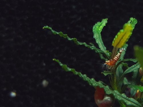 20180627_181200.jpg