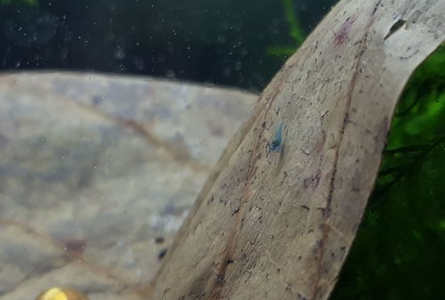 20190316_165102-01.jpeg