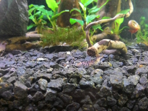 duplujem fotku (je uz v mojej teme) tak sa nehnevajte, len nech to je radsej nakope