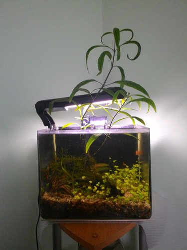 takto krasne sme vyrastli