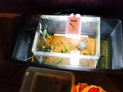 rozbité staré akva