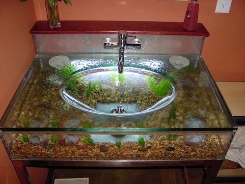 freshwater-aquarium-fish-tanks-20150502160653-5544f61d0919b.jpg
