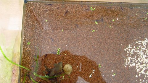 IMG_2705.JPG