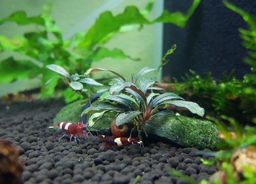 20161129_202840.jpg