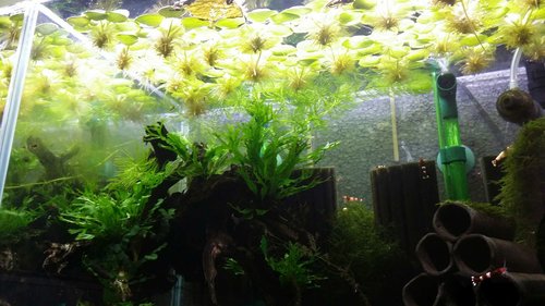0_20161230_134639.jpg