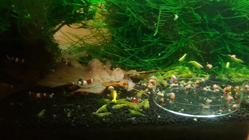 20170211_220137-1032x581.jpg