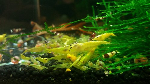 20170211_223720-1032x581.jpg