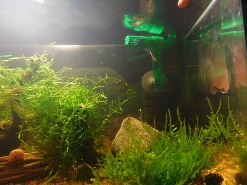 Nasávanie molitan z bublifuku,výpust kôš s trochou molitanu