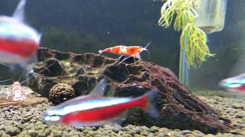 0_20170305_180326.jpg