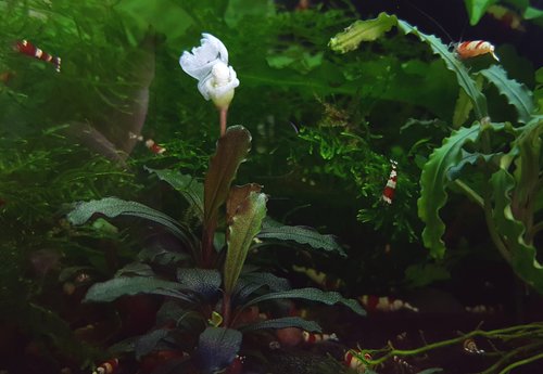 20171007_085832.jpg