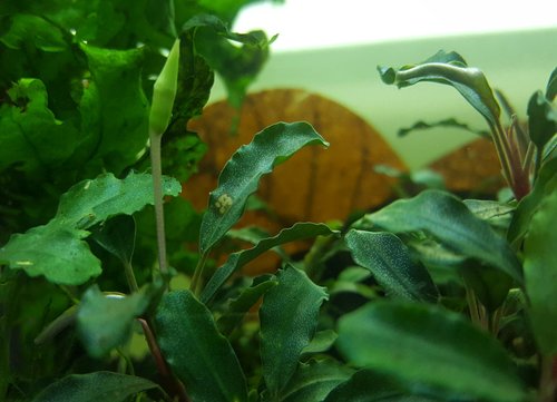20180111_195234.jpg