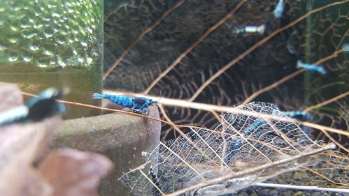 20180215_122920.jpg