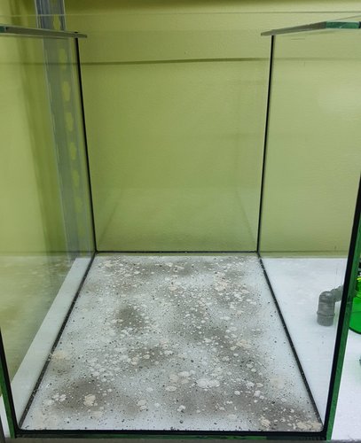 20180428_203740.jpg