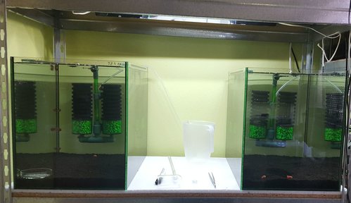 20180430_083124.jpg