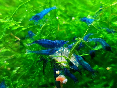 20180503_123121.jpg
