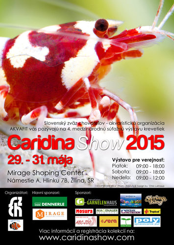 Caridina-Show-2015.jpg