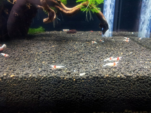 20121021_170554_u.jpg