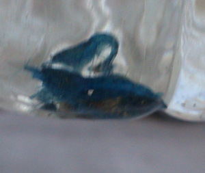 Modré machule sú krevetky vo fľaši. O machule nejde, ale všimnite si úroveň modrej, a to sú v strese.