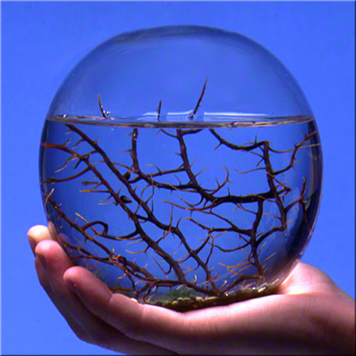 ecosphere