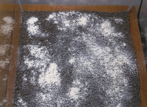 Bakterie GlasGarten Bacter AE