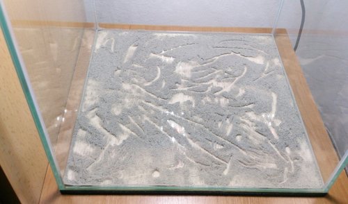 benibachi mironecton powder